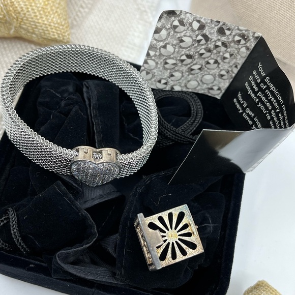 Suspicion QVC Stainless Steel Mesh Bracelet with 925 Interchangeable Ornaments - Picture 10 of 17